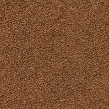 Carianna - Queen Sofa Sleeper - Caramel