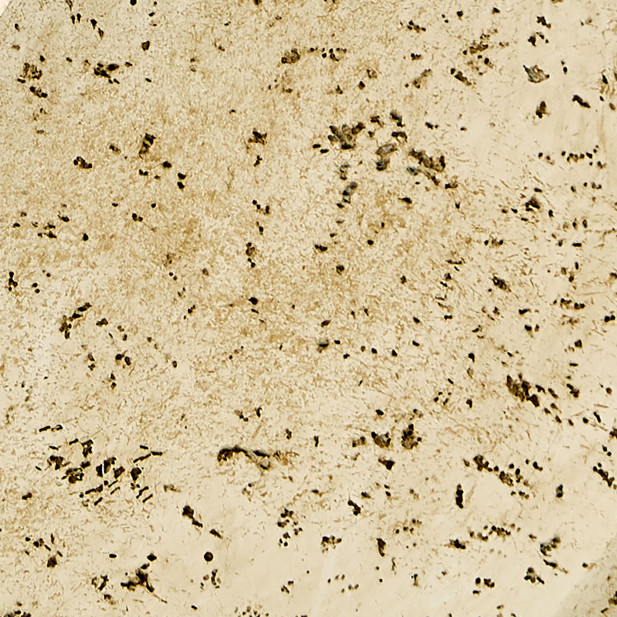 Bryons - Sculpture - Beige