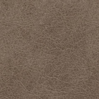 Navi - Queen Sofa Sleeper - Fossil